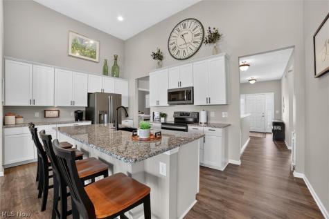 6598 High Perch Drive North Ridgeville OH 44039