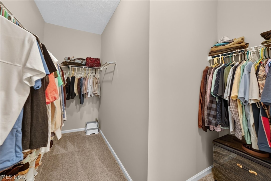 6598 High Perch Drive North Ridgeville OH 44039