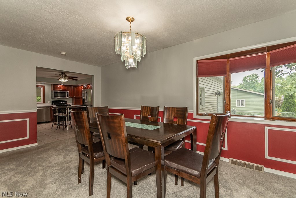 8831 Pine Tree Drive Macedonia OH 44056