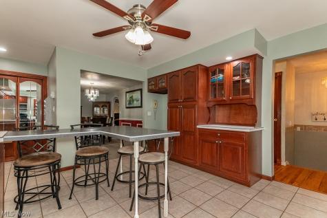 8831 Pine Tree Drive Macedonia OH 44056