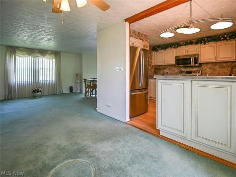 100 Blossom Lane Niles OH 44446