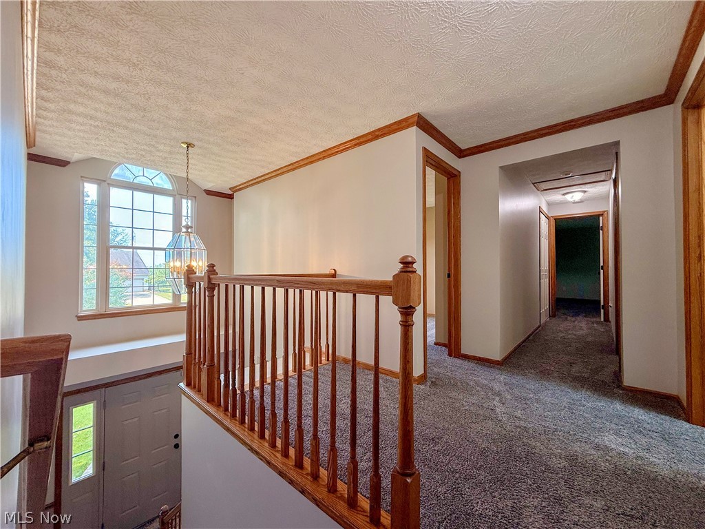 4730 Squire Drive Sagamore Hills OH 44067