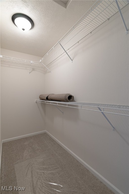 239 South Point Drive Avon Lake OH 44012