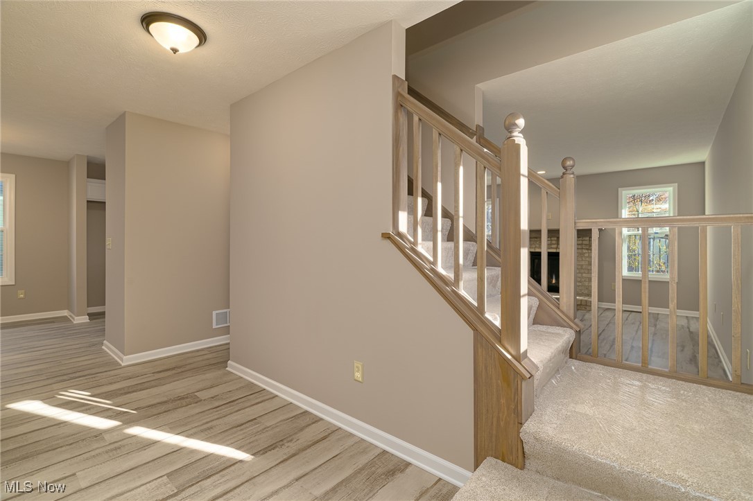 239 South Point Drive Avon Lake OH 44012