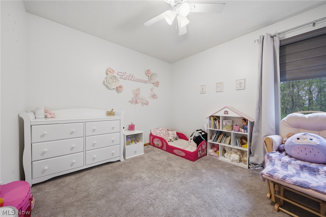 967 Countryside Drive Medina OH 44256