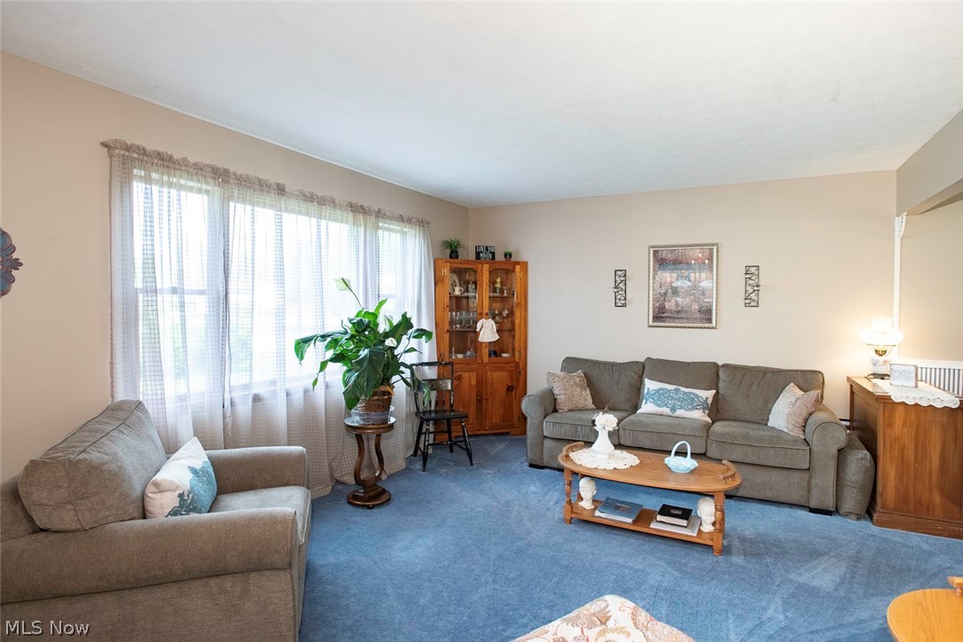 22419 Jonathan Drive Strongsville OH 44149
