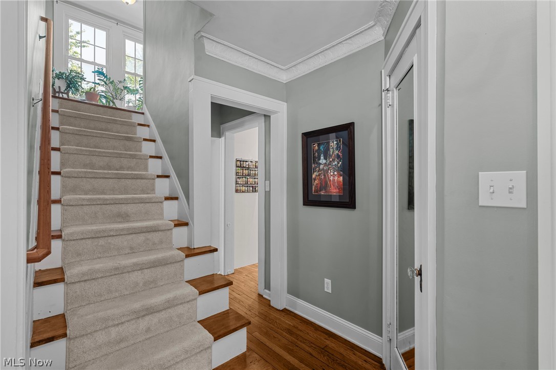 3882 Bushnell Road University Heights OH 44118