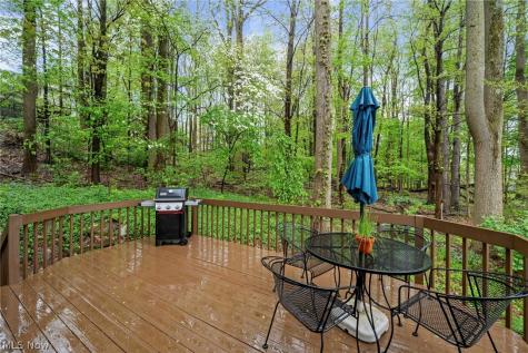 4542 Briarcliff Trail Copley OH 44321