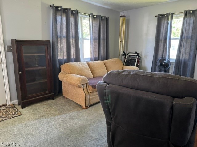 920 Norman Avenue Ashtabula OH 44004