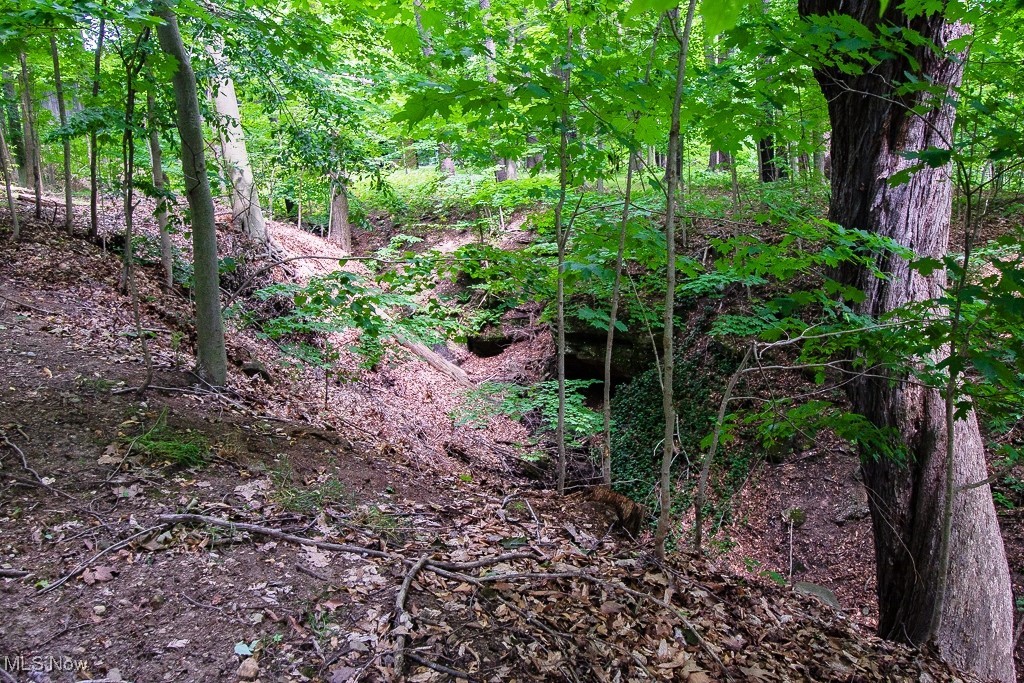 403 Downing Drive Chardon OH 44024