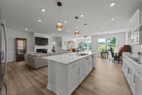 8259 Brookview Lane Mentor OH 44060