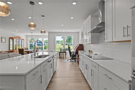 8259 Brookview Lane Mentor OH 44060