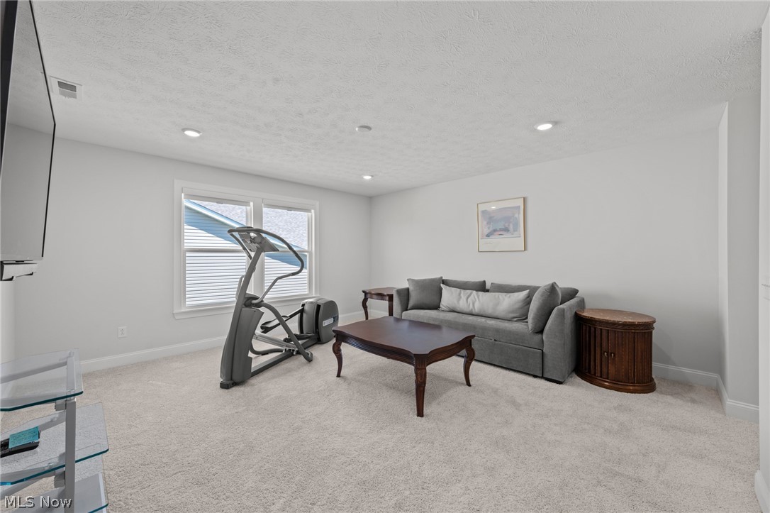8259 Brookview Lane Mentor OH 44060
