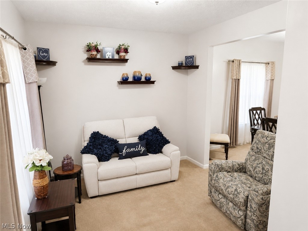 132 Westwood Circle Tallmadge OH 44278