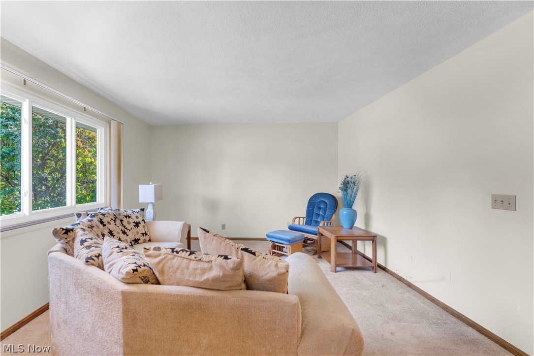 4450 Redwood Drive Painesville OH 44077