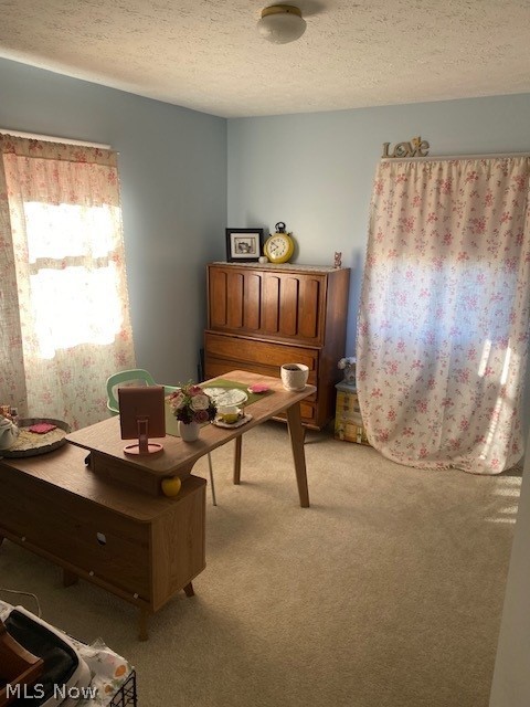 35230 Downing Avenue North Ridgeville OH 44039