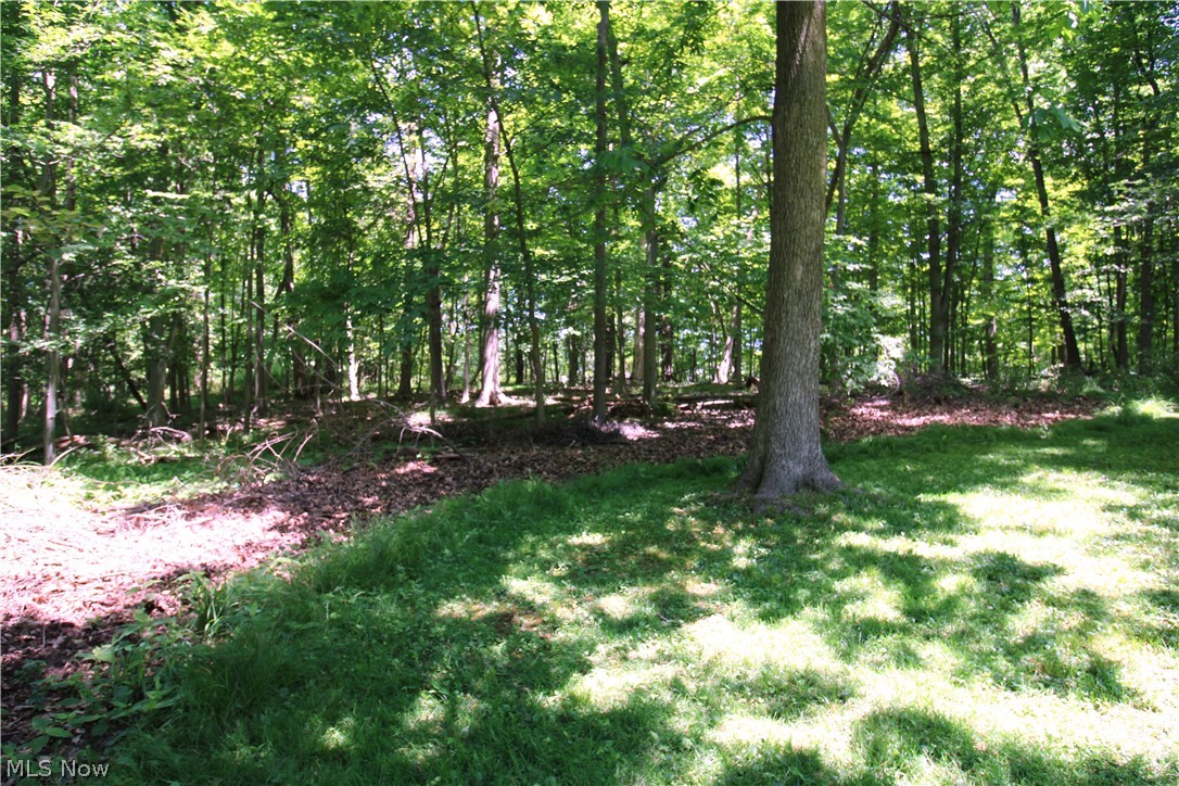 149 Lowrie Boulevard Northfield OH 44067