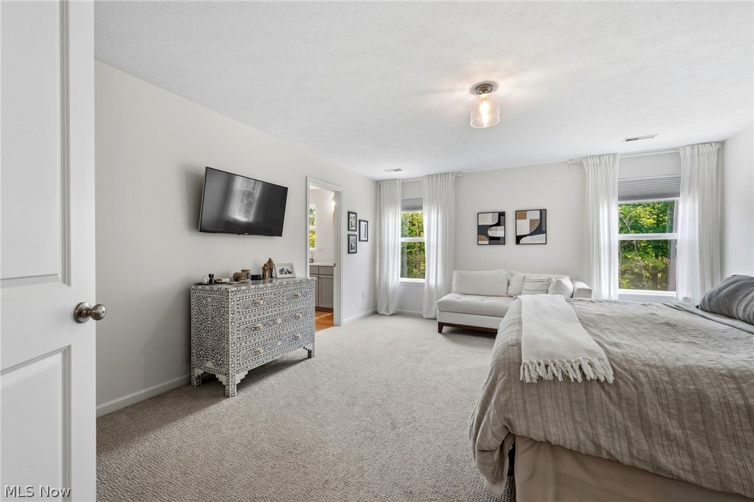4384 Chaseline Ridge Brunswick OH 44212