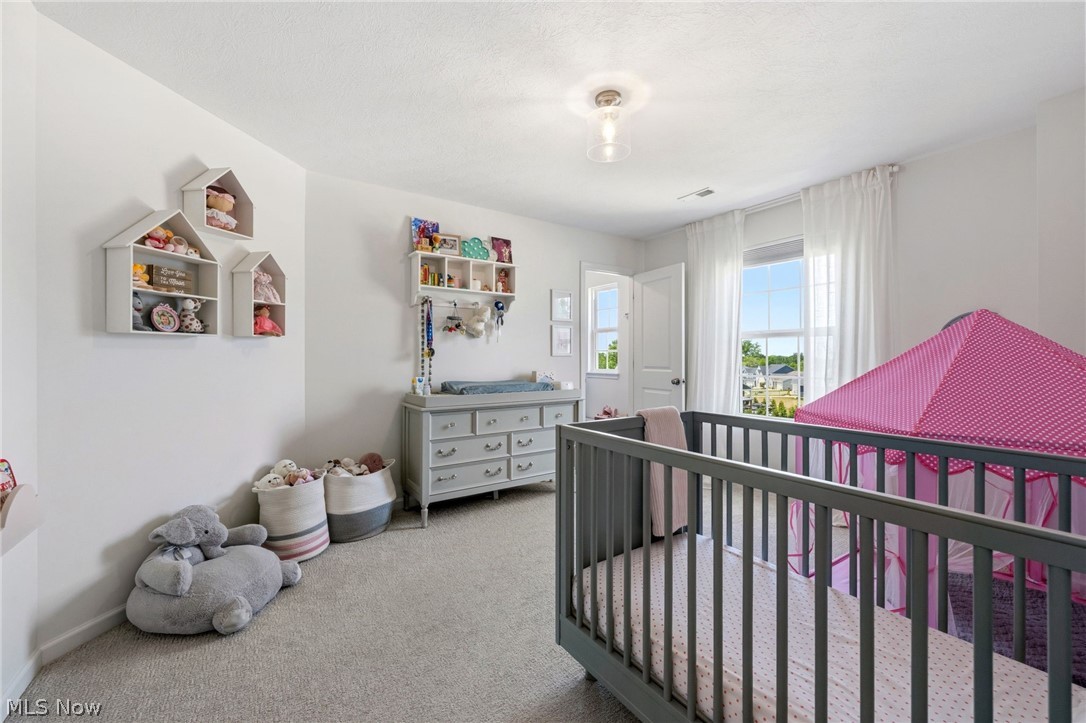4384 Chaseline Ridge Brunswick OH 44212