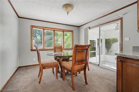 1711 Thornapple Avenue Akron OH 44301