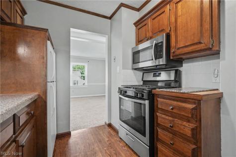 1711 Thornapple Avenue Akron OH 44301