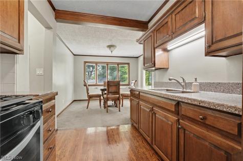 1711 Thornapple Avenue Akron OH 44301