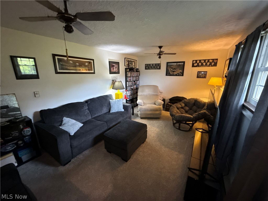 191 Ridgeland Drive Toronto OH 43964