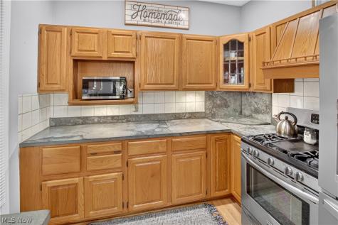 123 Harris Street Lodi OH 44254