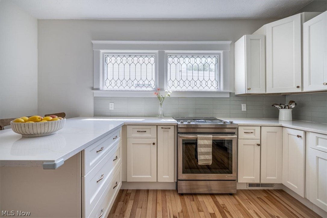 1208 French Avenue Lakewood OH 44107