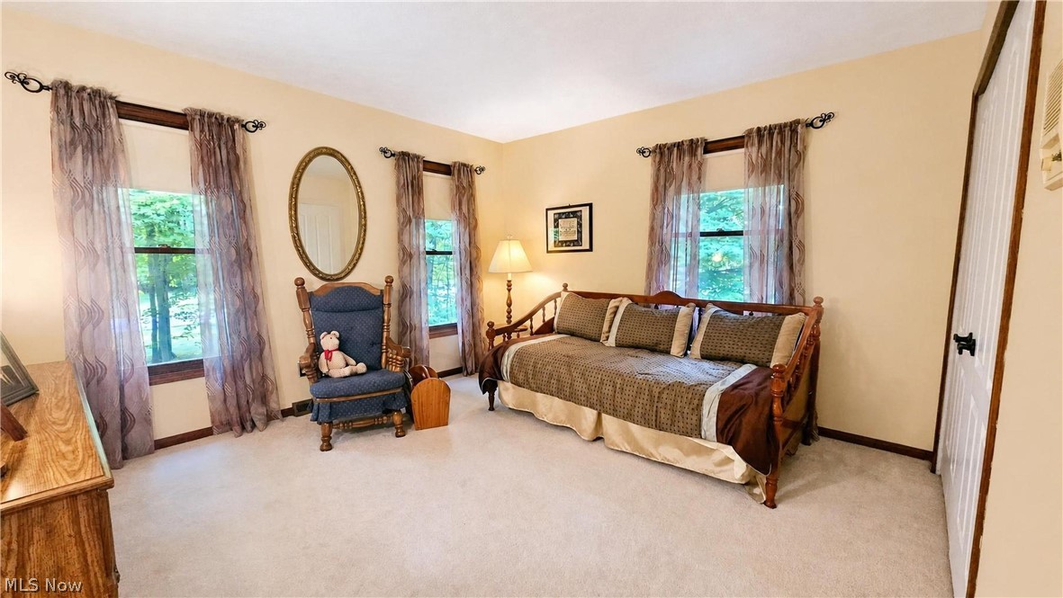 9220 Woods Way Drive Kirtland OH 44094