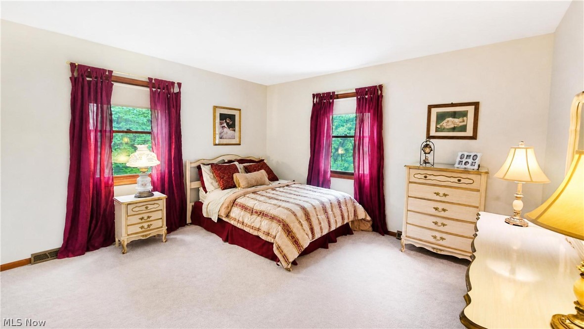 9220 Woods Way Drive Kirtland OH 44094