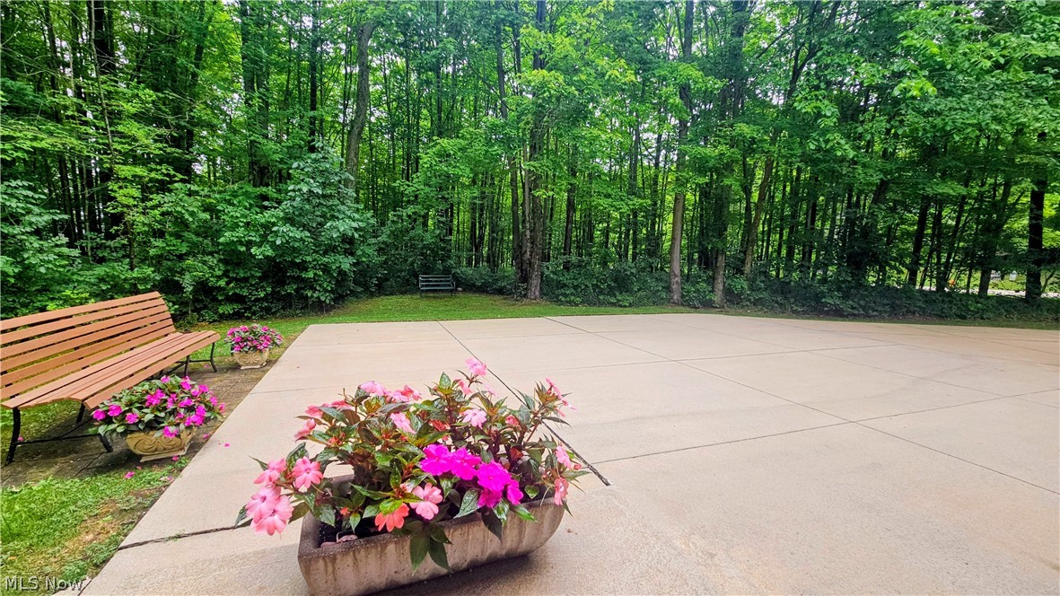 9220 Woods Way Drive Kirtland OH 44094