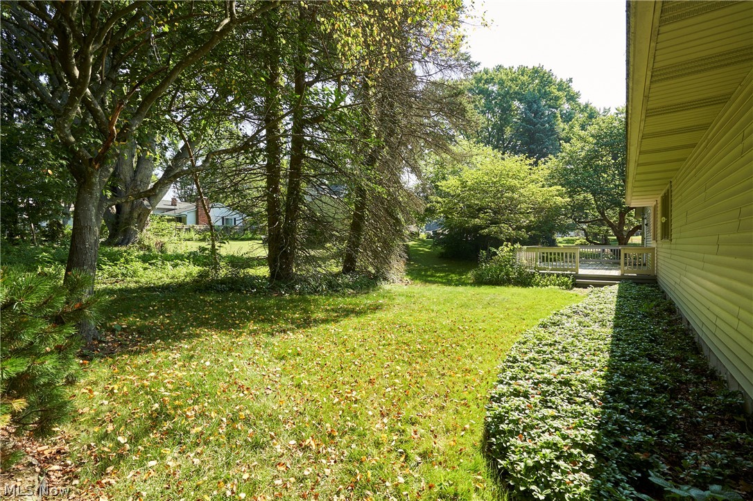 299 W Caston Road New Franklin OH 44319