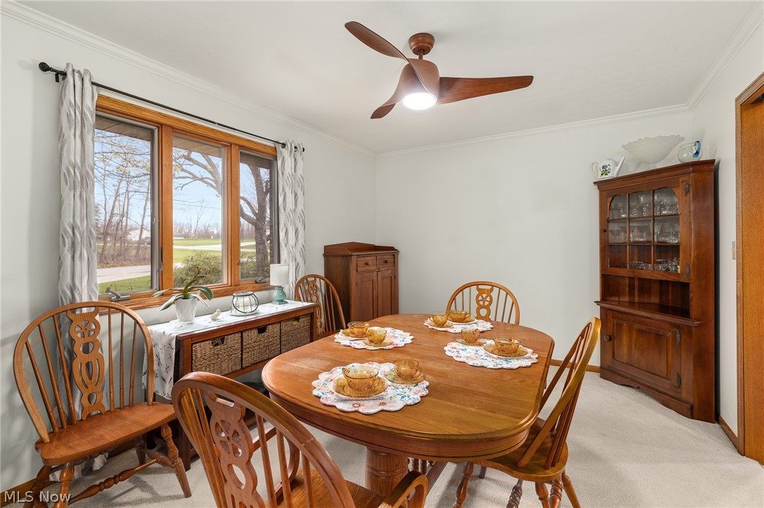843 Wildwood Drive Willard OH 44890
