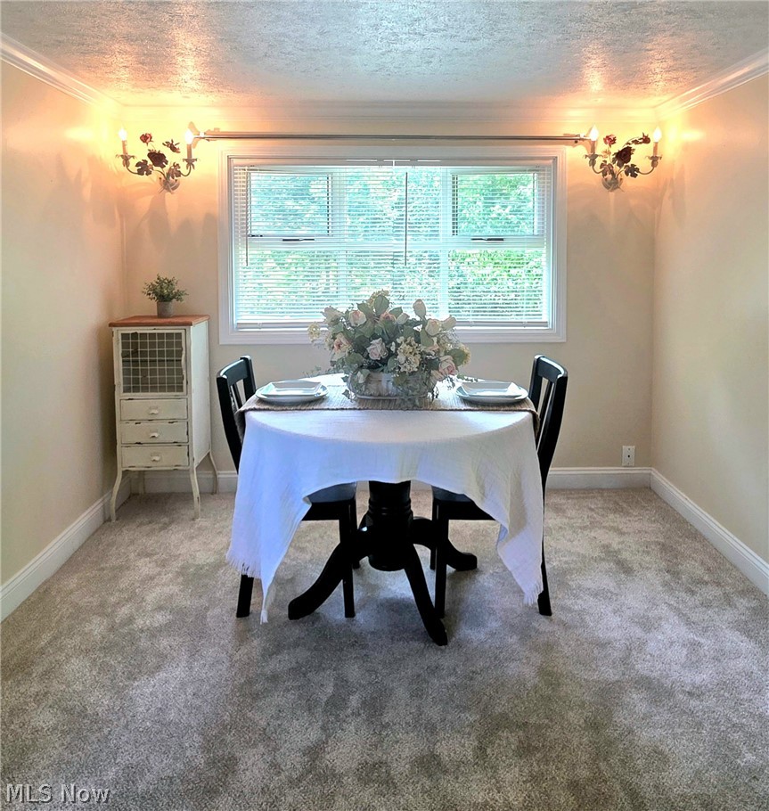 398 N Chillicothe Road Aurora OH 44202