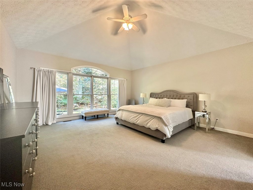 7245 Boulder Wood Drive Broadview Heights OH 44147