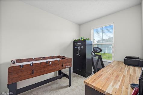 4771 Olivia Way Lorain OH 44053