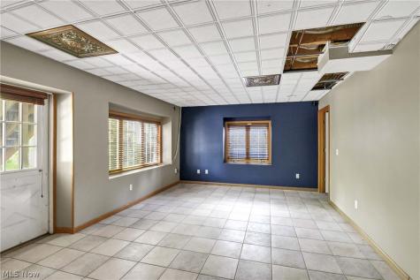 30111 Bonnie View Drive Wickliffe OH 44092