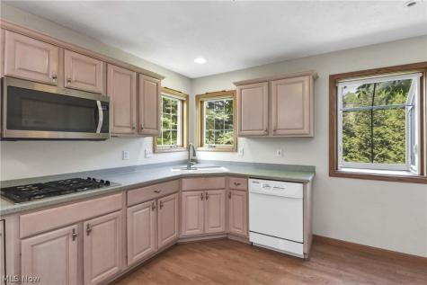 30111 Bonnie View Drive Wickliffe OH 44092