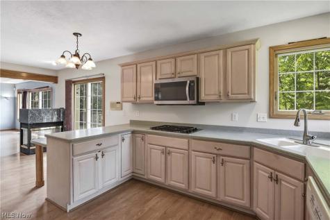 30111 Bonnie View Drive Wickliffe OH 44092