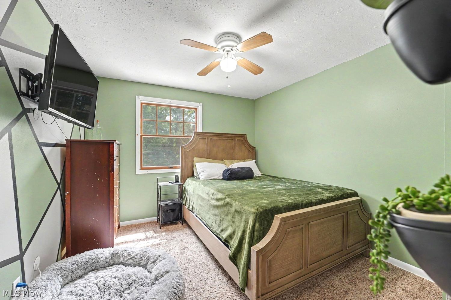 2229 Brighton Place Madison OH 44057