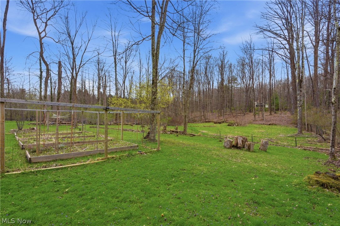 9715 Stafford Road Chagrin Falls OH 44023