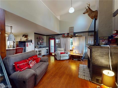 234 Mentor Avenue Painesville OH 44077