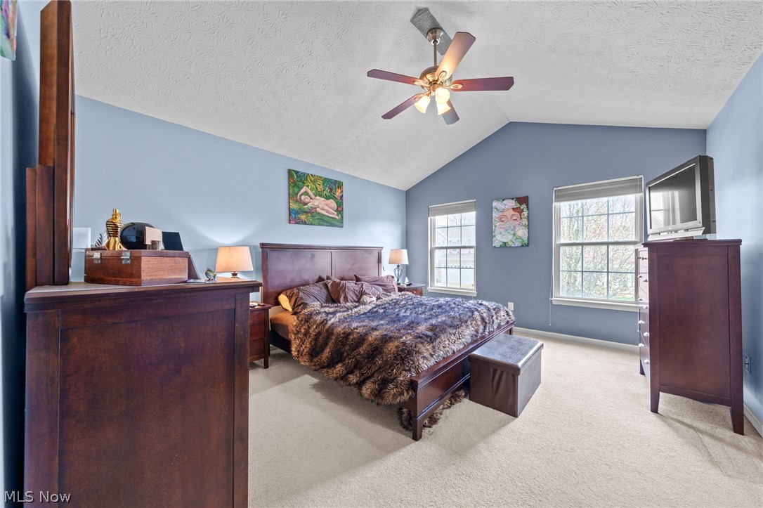 7756 Willow Lane Macedonia OH 44056