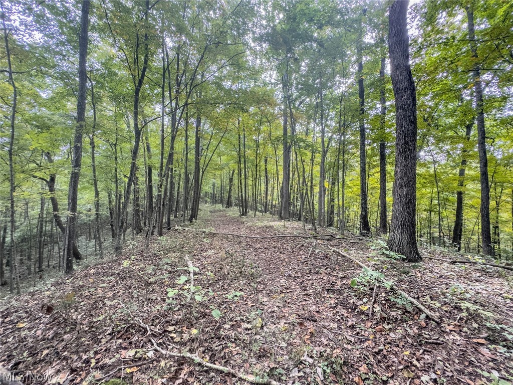 15525 Township Road 287 SE Glouster OH 45732