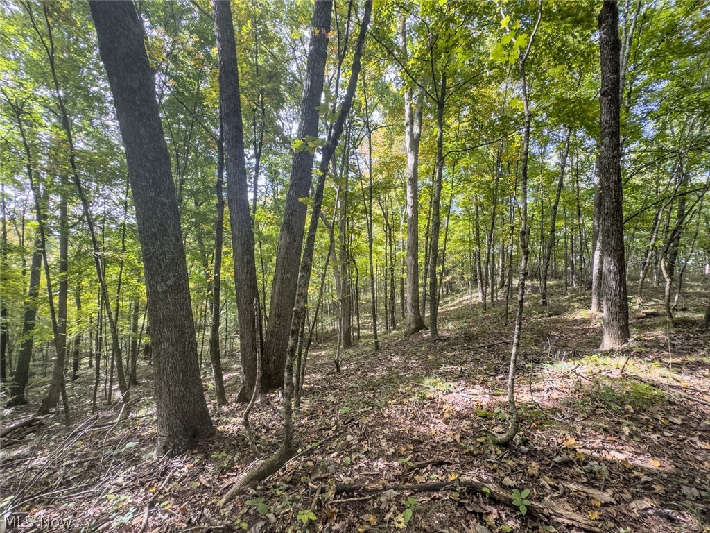 15525 Township Road 287 SE Glouster OH 45732