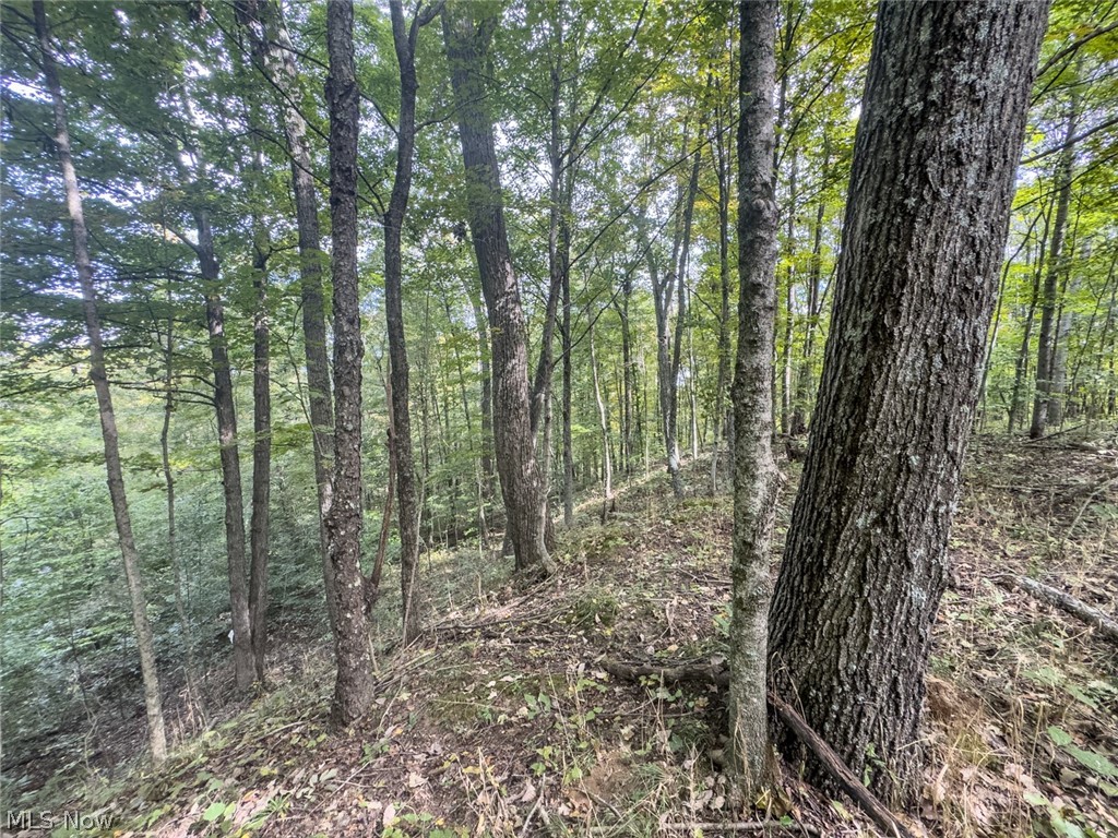 15525 Township Road 287 SE Glouster OH 45732
