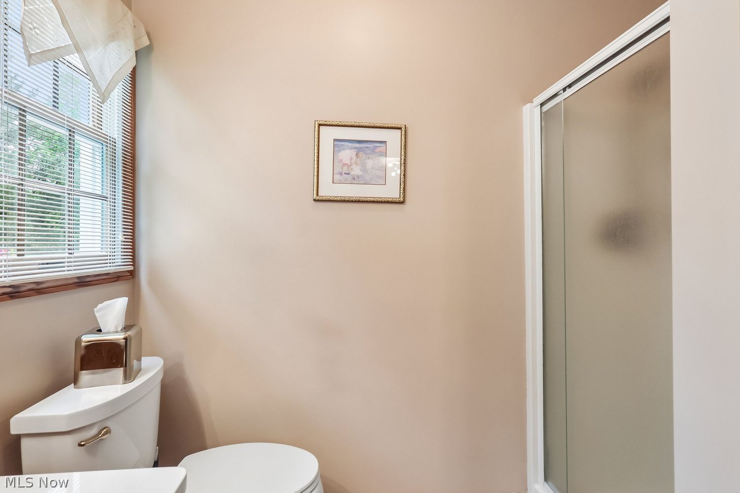 285 Brookpoint Circle Wadsworth OH 44281