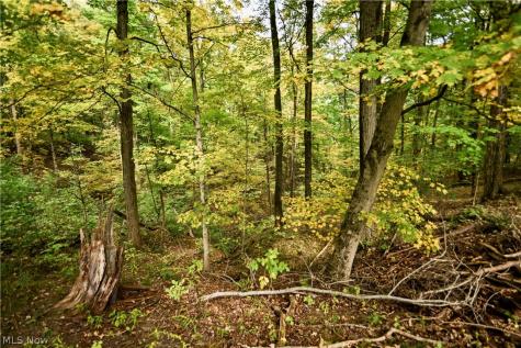 4585 Northampton Road Cuyahoga Falls OH 44223