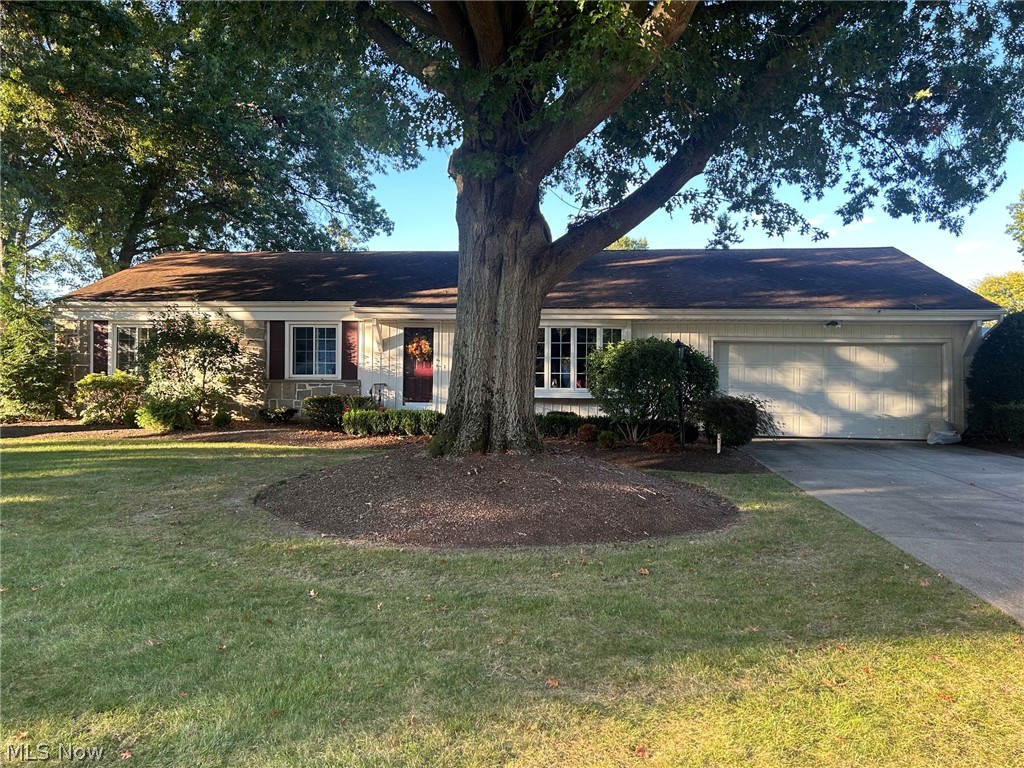 5171 Meadow Wood Boulevard Lyndhurst OH 44124